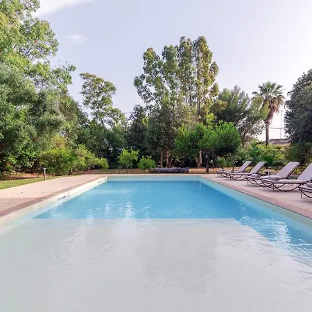 Patty Tatil Evi